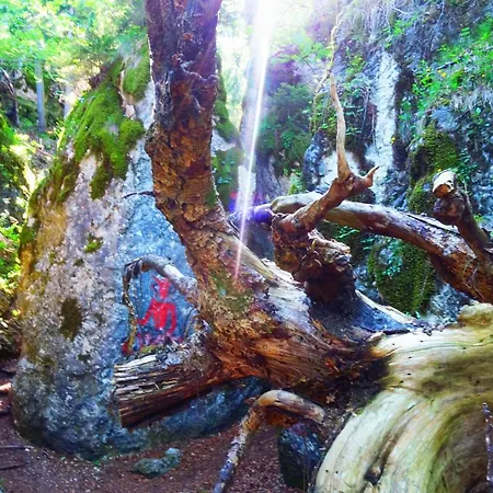 شقة Merblick - Pool - Balkon - Panorama باد ريشنهول